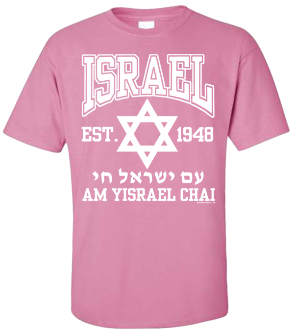 Israel EST 1948 Chai T-Shirt - Image 5